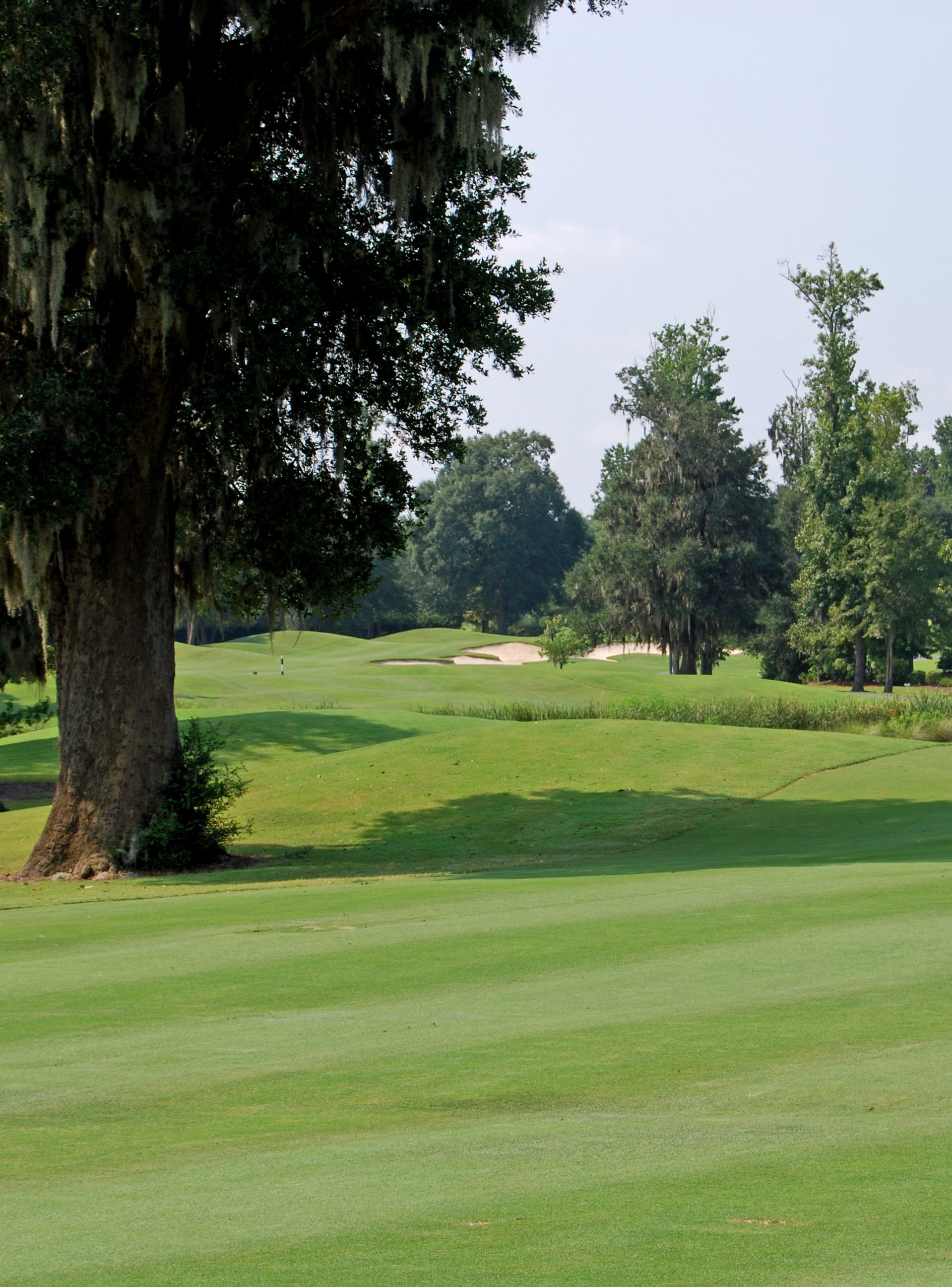 Crowfield Golf & Coutry Club Memberships South Carolina Country Club